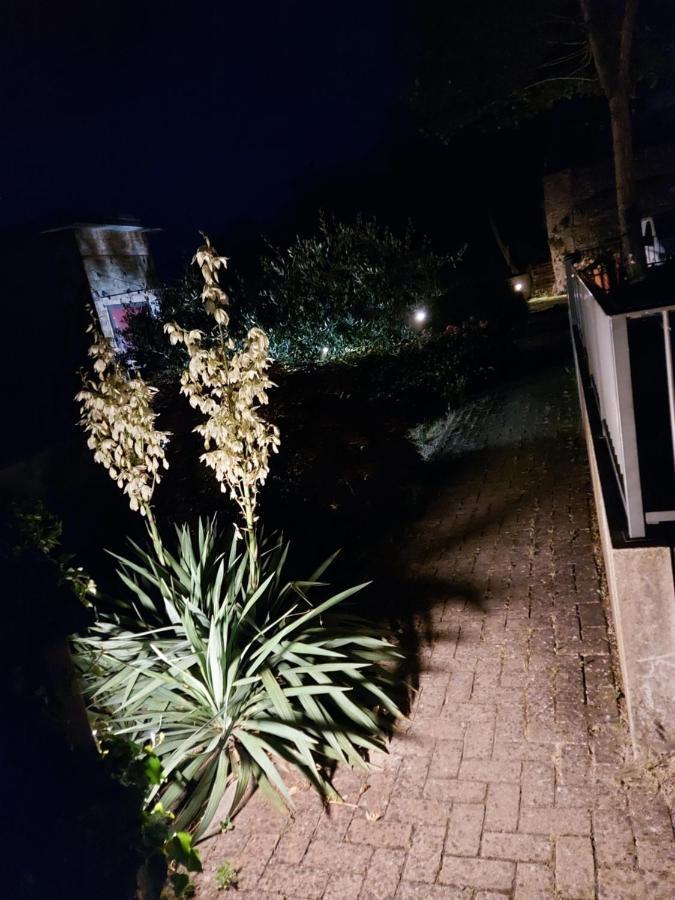 شقة Bella Vista Tossignano المظهر الخارجي الصورة